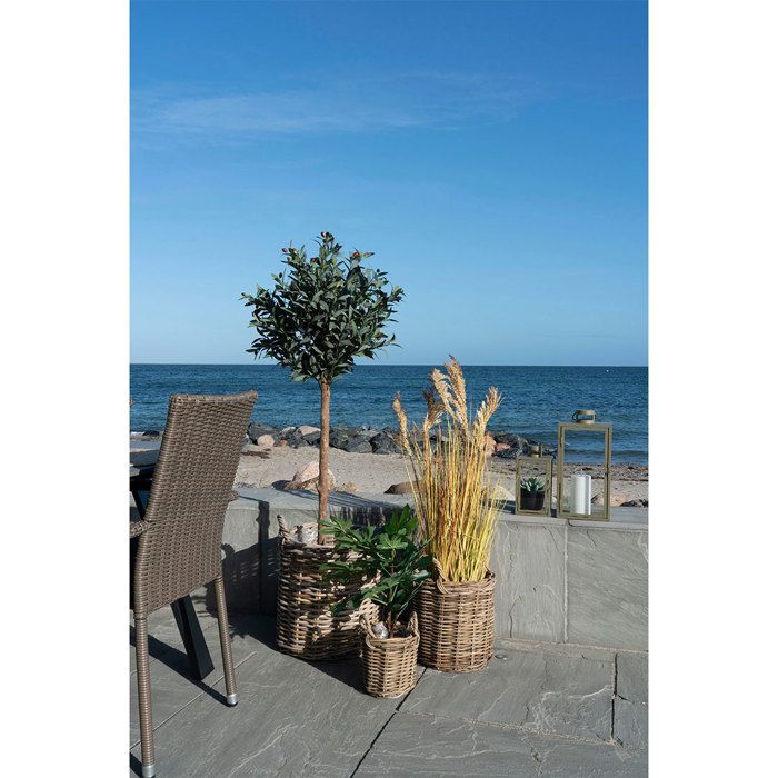 Sema Set of Baskets with 3 Pieces Natural Color.