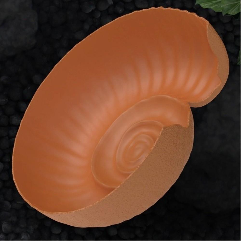 Ammonite Shape Reptile Hidden Cave Aquarium Landscape Decoration cave design Hideouts Shelter Reptile Hiding Hole Spider
