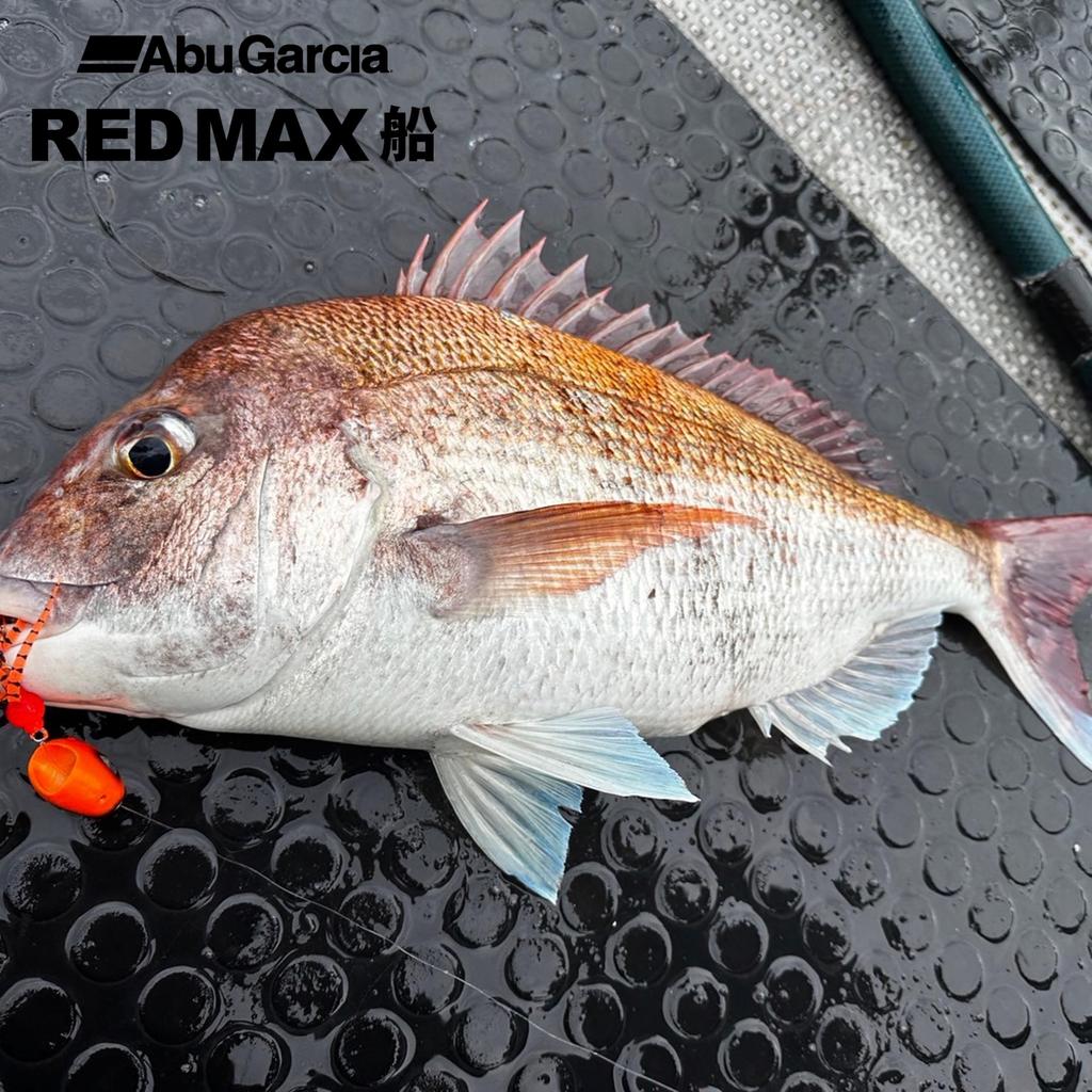 Abu Garcia Red Max Boat Left Side Baitcasting Reel Filefish/Tairubber Double-Axis