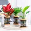Transparent Hydroponic Vase Automatic Water Absorption Plant Pot For Home & Office