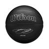 Wilson Evergreen Lebron NBA Basketball