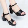 Summer Shoes for Women Fashion High Heel Sandals Peep Toe Buckle Strap Black White Platform Sandals Plus Size 35-40
