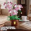 323Pcs Phalaenopsis Potted Plant Building Block Orchid Bricks Flower Model Puzzle Toys Sets New Year Christmas Birthday Gifts