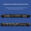 HuiDu YA-4820 Professional Wireless Microphone Feedback Suppressor (CN Version)