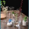 Clear Glass Flower Vase Minimalist Glass Vase Cylinder Flower Vase Use for Floral Wedding Home Decor