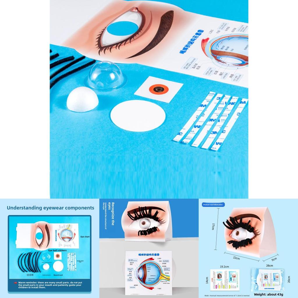 Simulierte Augenstruktur Bausatz Experiment Spielzeug Set Für Kinder