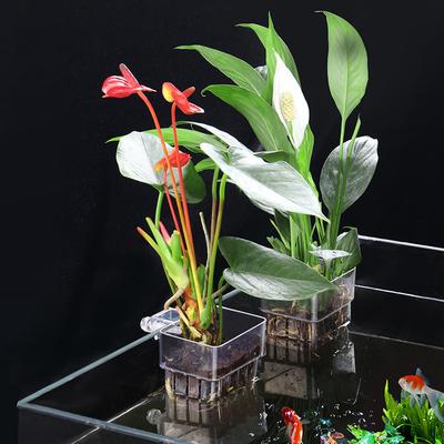 Household Fish Tank Hydroponic Rack Stable Aquascapes Decorative Rack For Houseplants