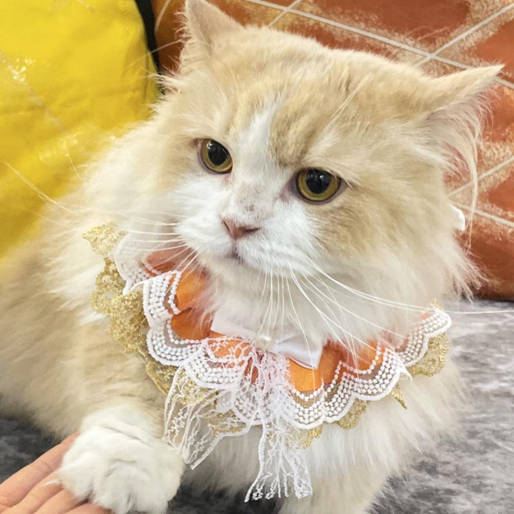 Adjustable Cat Collar Bowknot Dog Neckerchief Personalized Pet Necklace  Pet Suppliers