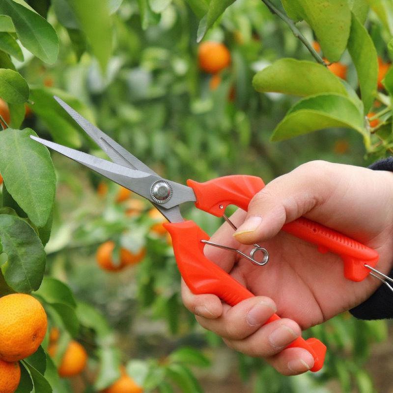 Langlebige Gartenschere Scharfe Edelstahlklingen Rutschfeste Rote Griffe Geeignet für Alle Gartenarbeiten Beschneiden Auslichten