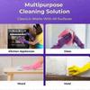 Clean Concentrated Cleaning Tablets w/ Spray Bottle 2025 New