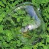 10pcs Plastic Planting Protective Cover Thermal Moisturizing Seedling Insulation Cover Transparent Reusable Seedling Hood