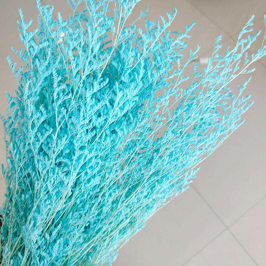 Everlasting White Dried Baby's Breath Flowers for Home Decor and Photography