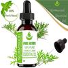 Ervas Puras Losna (Artemísia Absíntio) Óleo essencial puro e natural de grau terapêutico, frasco de plástico com conta-gotas.
