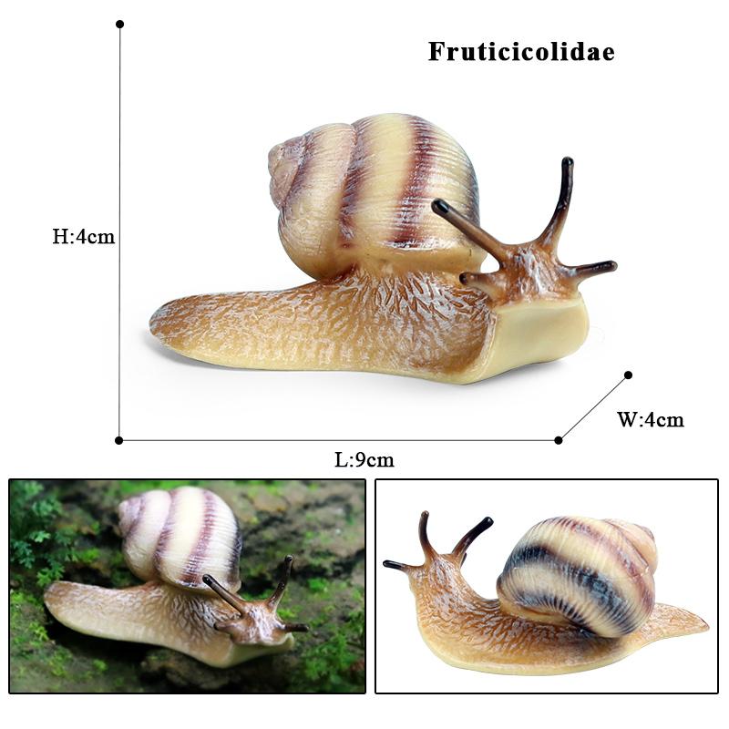 Oenux Wild Insect Animals Model Mantis Grasshopper Butterfly Bee Beetle Action Figures PVC Science Education Collection Kid Toy