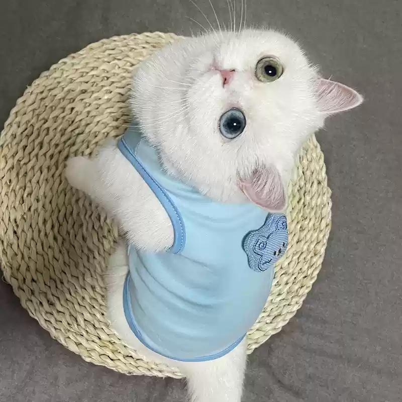 Pet Clothes Cat Vest for Persian Cat Siamese Kitten Spring Autumn Thin Teddy Bear Schnauri Dog Clothes Summer Small Dog Tank Top