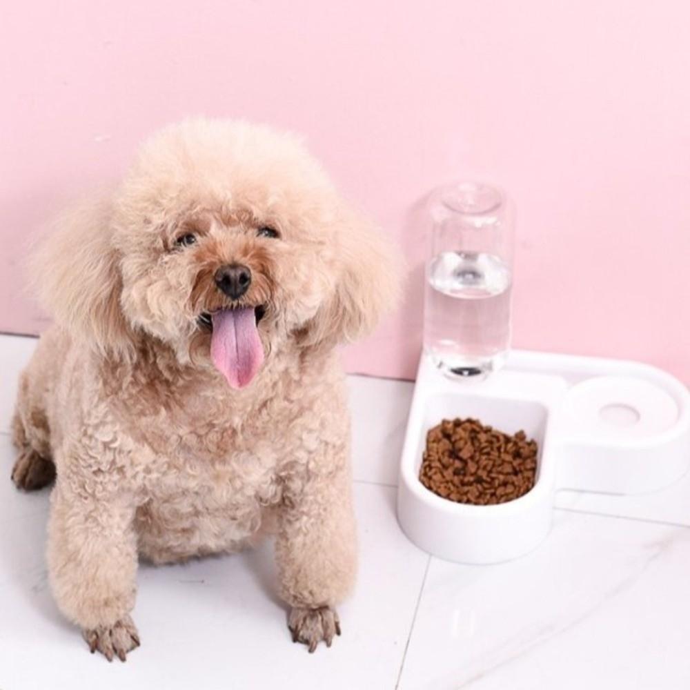 Feeding Dispenser Automatic Water Bowl Feeder Dual-use Corner Pet Food Dish Drinking And Feeding