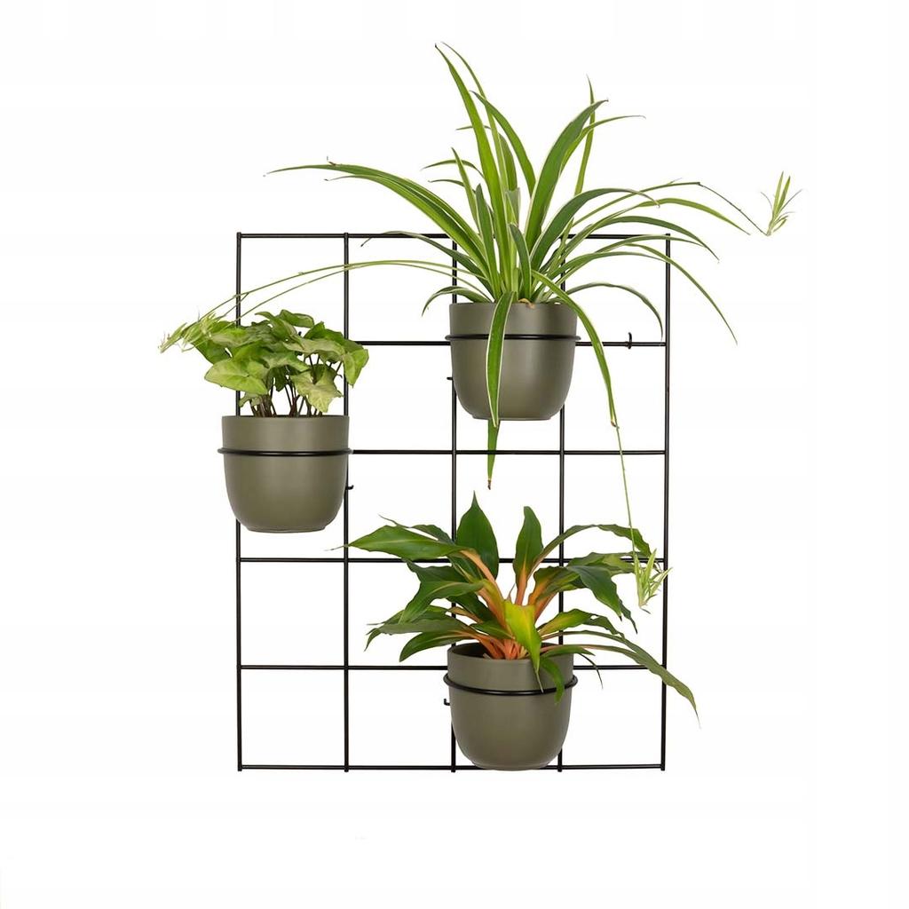 Hedera 3 Black Metal Wall Flower Stand - Modern Flower Trellis with 3 Hoops, Loft, Industrial, Vertical Garden