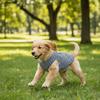 Round Neck Dog Cooling Vest Soft Fabric Pet Striped T-Shirt Dog Summer Clothes  Photography