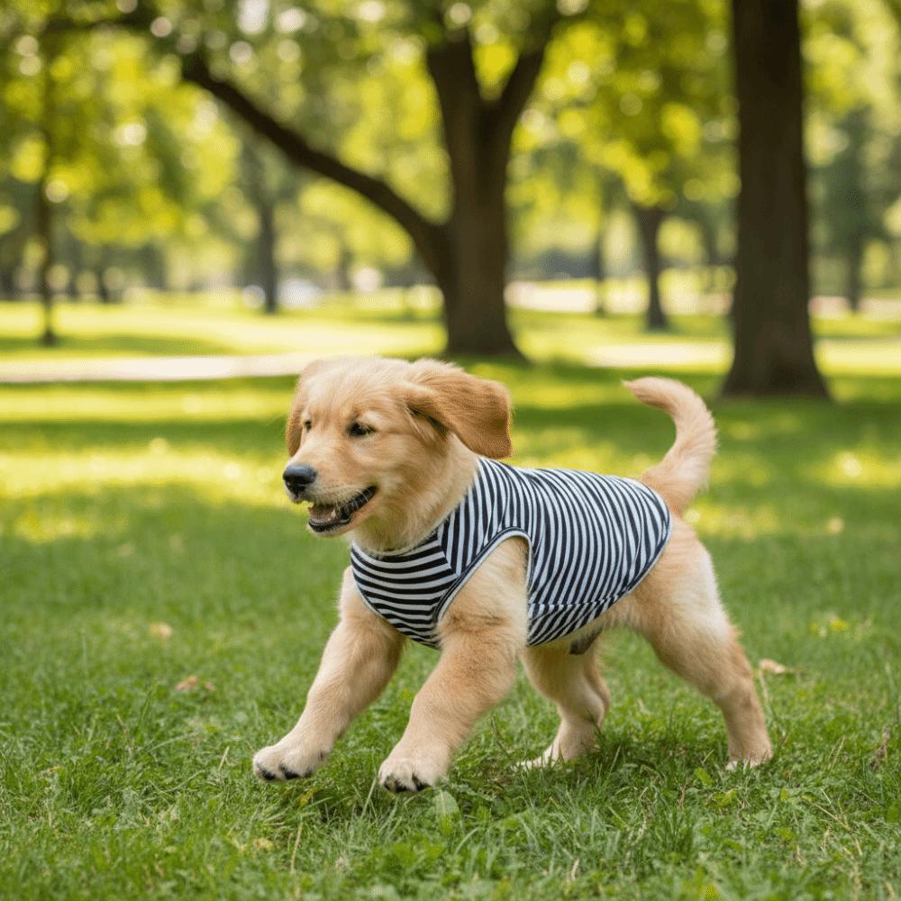 Round Neck Dog Cooling Vest Soft Fabric Pet Striped T-Shirt Dog Summer Clothes  Photography
