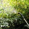 Pulvérisateur Électrique Portable Manuel Outil d'Irrigation de Jardinage USB 2400mAh Rechargeable Poignée Télescopique 3 Buses Tuyau 2/3/5M