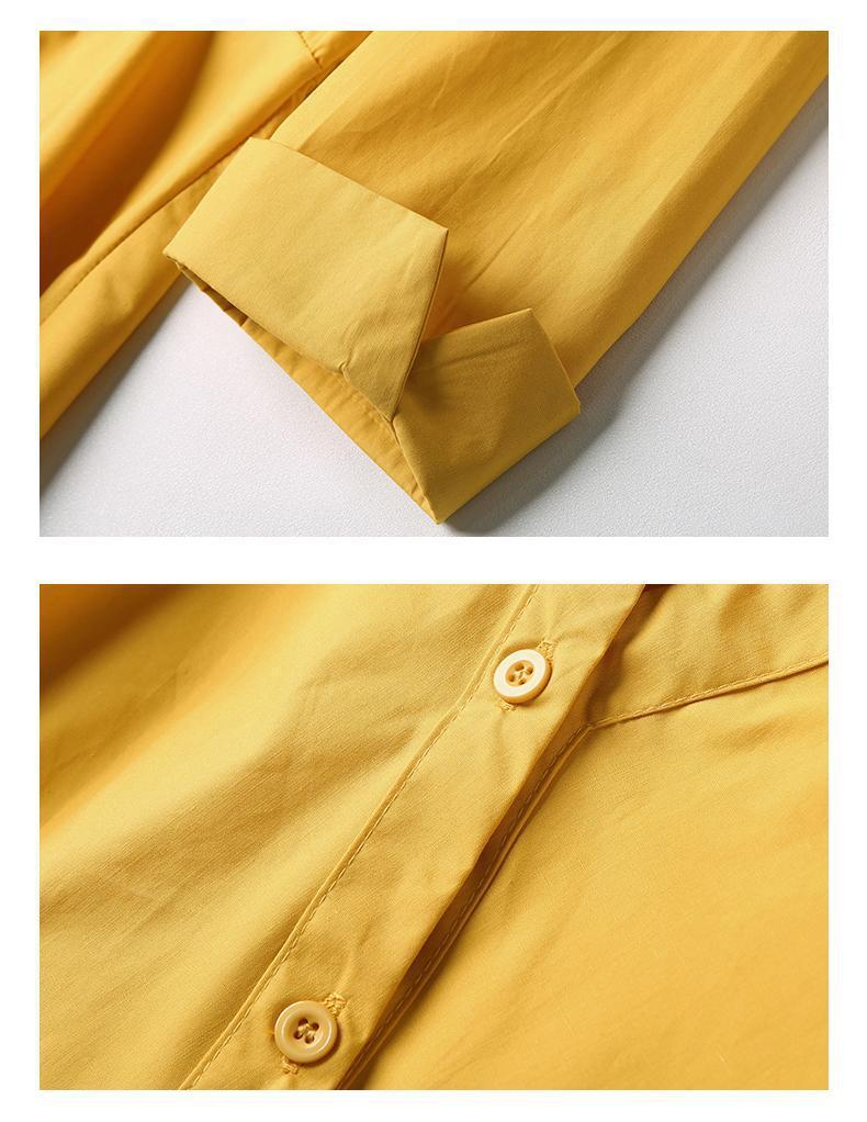 Women's White Shirt 2025: Spring/Autumn Korean Style, Waist-Slimming, Chic Design