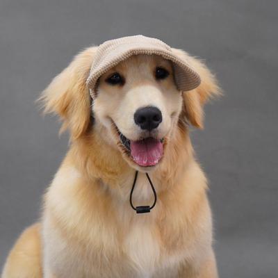 Dog Baseball Cap Leaking Ears Golden Fur Labrador Pet Hat Big Dog Cap