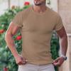 Herren Sommer Sport und Freizeit Vertikaler Streifen Stehkragen T-Shirt