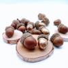 1pcs Acorn shells, handmade DIY materials, shooting props, dried flower fruit shells, acorn hats, Christmas wreath decorations, pendants, acorns
