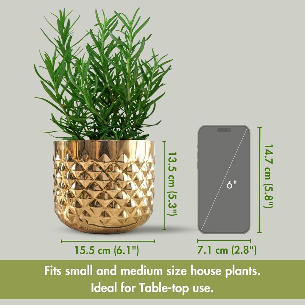 Металлическое Кашпо, Metal Indoor Pineapple Texture Golden Plante 5.3 (Height) × 6.1 (Dia),  Behoma