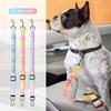 Pet Leash Belt for Dogs, for Small and Medium Puppies, Safety Buckle for Cats, Fighting Teddy Supplies