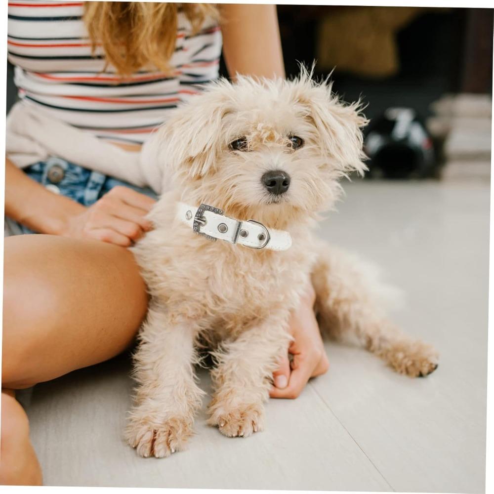 Dog Pearls Buckle Collar Leash Set Pearl Dog Collar Leash for Birthday Wedding Christmas Small Dog Pearl Chain Collar Jewelry