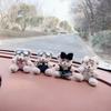 Orsetto Cartone Animato Carino Decorazione Cruscotto Auto Statuina Peluche Ornamento Interno