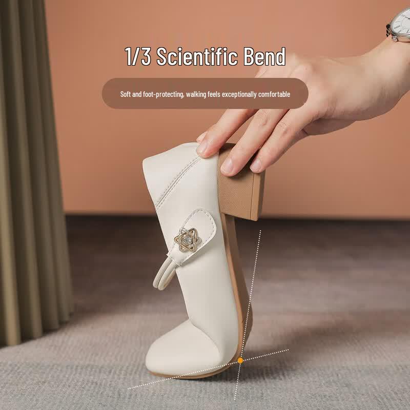 ZHR AH506 Women's Elegant Block Heel Mary Jane Shoes