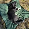 Portable Folding Dog Bed - with Detachable Mattress & Storage Bag - Durable Pet Bed for Outdoor Travel and Camping
