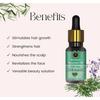 Advik Ayurveda Rosemary Essential Oil 15ml