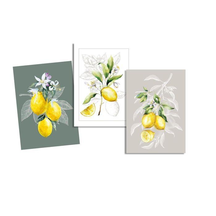 Lot de 3 Torchons Citron