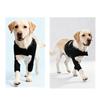 Adjustable Dog Shoulder Brace Front Leg Support for Quick Application Daily Pet Care Routine Outdoor Walking Support