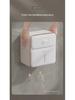 Waterproof Wall-Mounted Toilet Paper Holder and Storage Rack