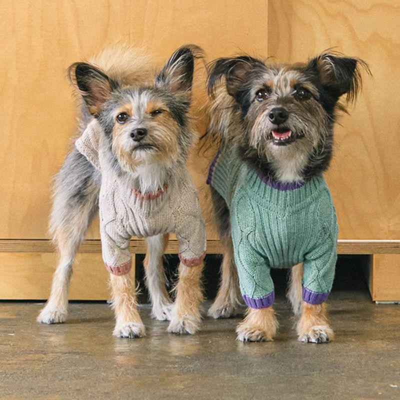 MUNIKUND Gugu Cashmere Knit - Oatmeal