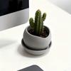 3D Printed Succulent Plant Pots with Drainage Holes Growing Pots  Air Plant Display