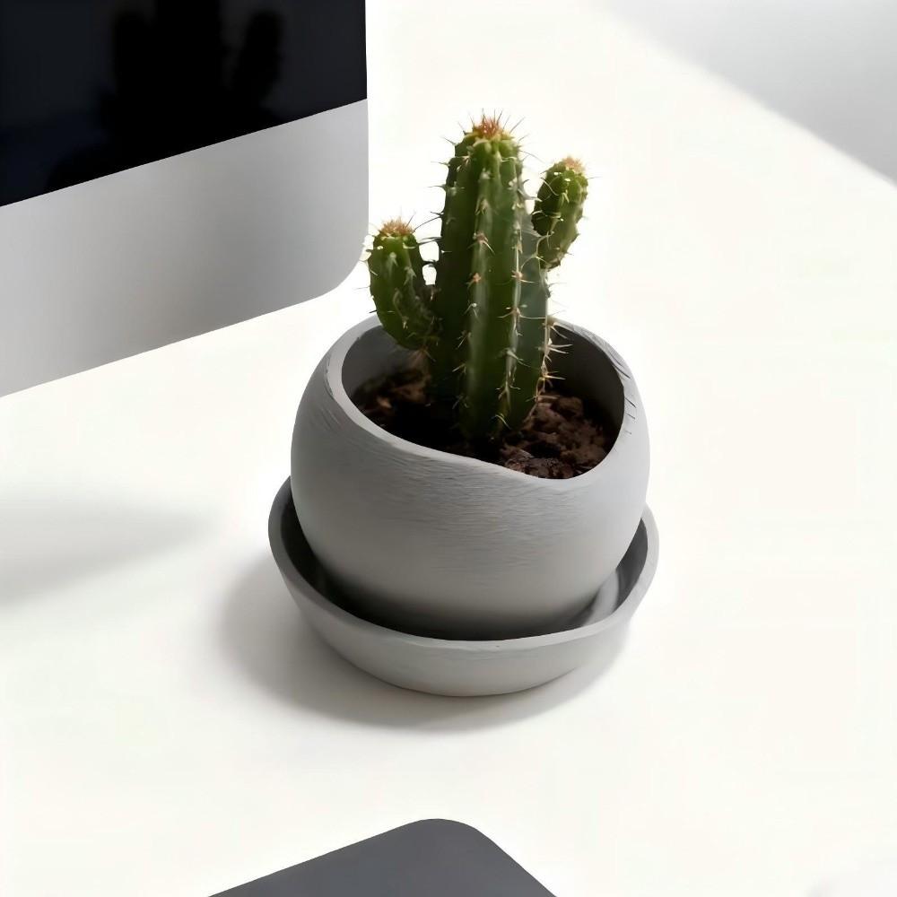 3D Printed Succulent Plant Pots with Drainage Holes Growing Pots  Air Plant Display