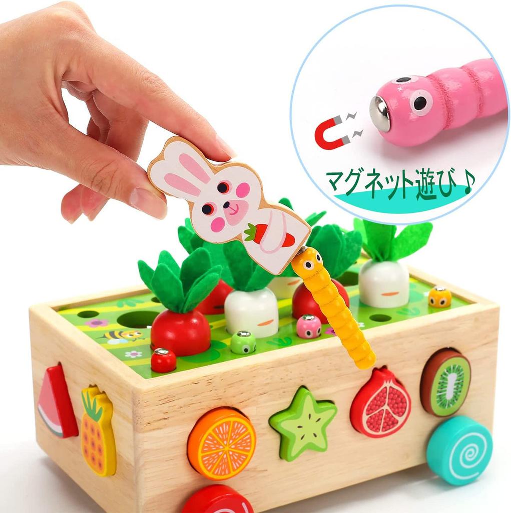 Homehalo Wooden Carrot Puzzle, Montessori Toy, Popular Educational Toy with Fingertip Learning Box, Fitting and Shape Matching, Wooden Toy for Boys