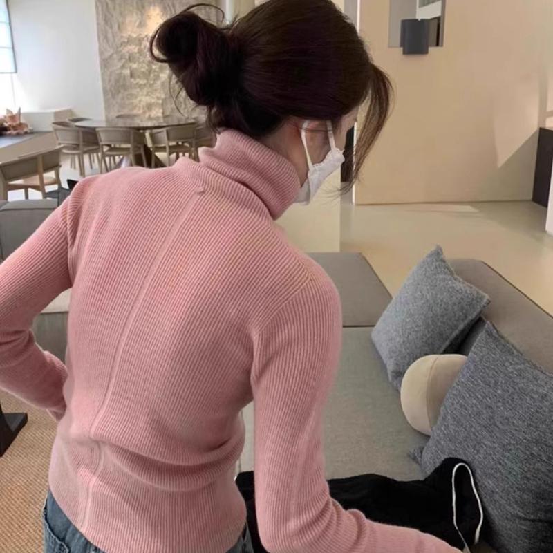 Autumn and Winter Slim Fit Turtleneck Knitted Sweater Women Tops Long Sleeve Casual Base Women's Sweaters Soft Warm Fashion Female Knitwears 25252