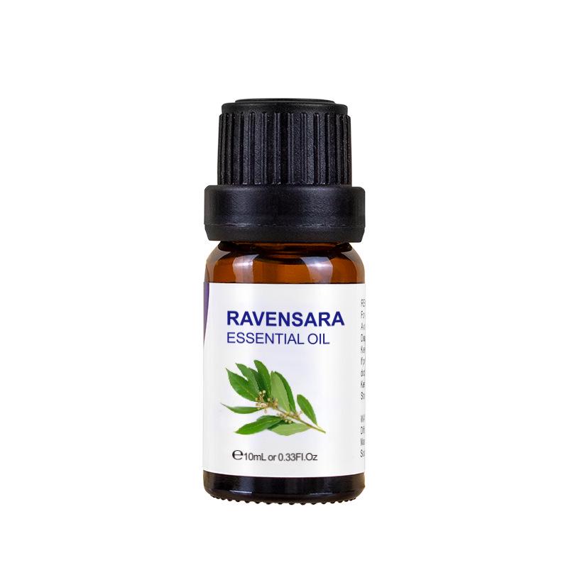 Lavender, Tea Tree, Rose, Sweet Orange & Rosemary Essential Oil for Face Massage & Aromatherapy