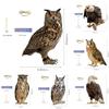 Garden Bird Deterrent Device With Acrylic Eagle Design For Yard Protection