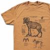 Desert Bighorn Sheep Anatomy Tshirt, Bighorn Biology Shirt, Bighorn Diagram Screen Print, Nevada State Animal Shirt, Ram Biology Shirt