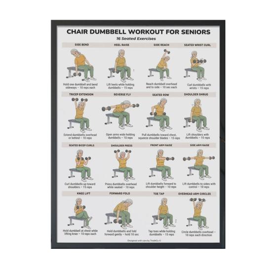 Chair Exercise Poster Seated Workout Chart Gentle Chair Yoga Movements Low Impact Exercise Guide for Seniors Beginners