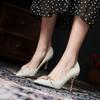 Spring and Autumn New Pointed High Heels Stiletto Single Shoes Versatile Fashion Women's Shoes