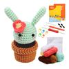 Beginners Crochet Kits, Crochet Potted Plant Kits, with Yarn, Crochet Hooks, Instructions DIY Crochet Craft Starter Kits