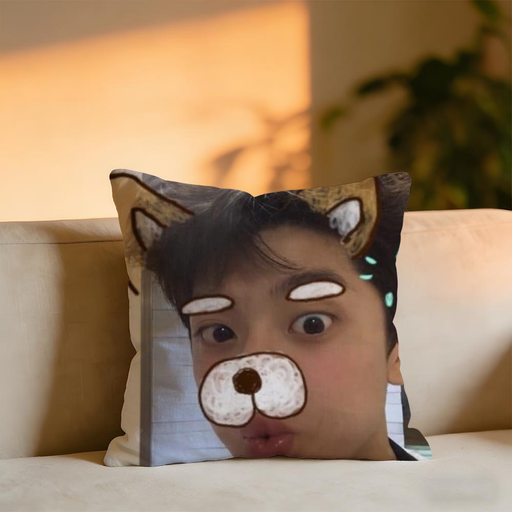 LinYi Chinese Actor Cushion Cover Cozy Velvet Throw PillowSoft Warm Cushion For Sofa Bed 30x30 cm